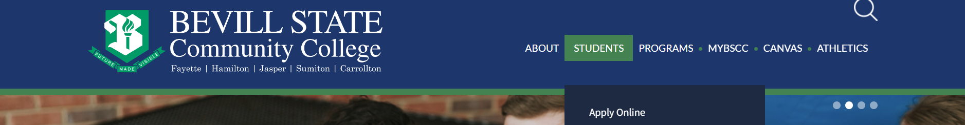 Screenshot of website to accompany instructions above.